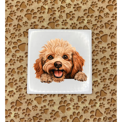 Personalized Dog Coasters - Small Breed